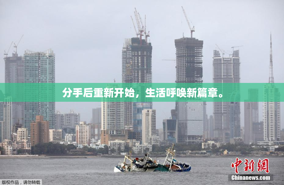 分手后重新开始，生活呼唤新篇章。
