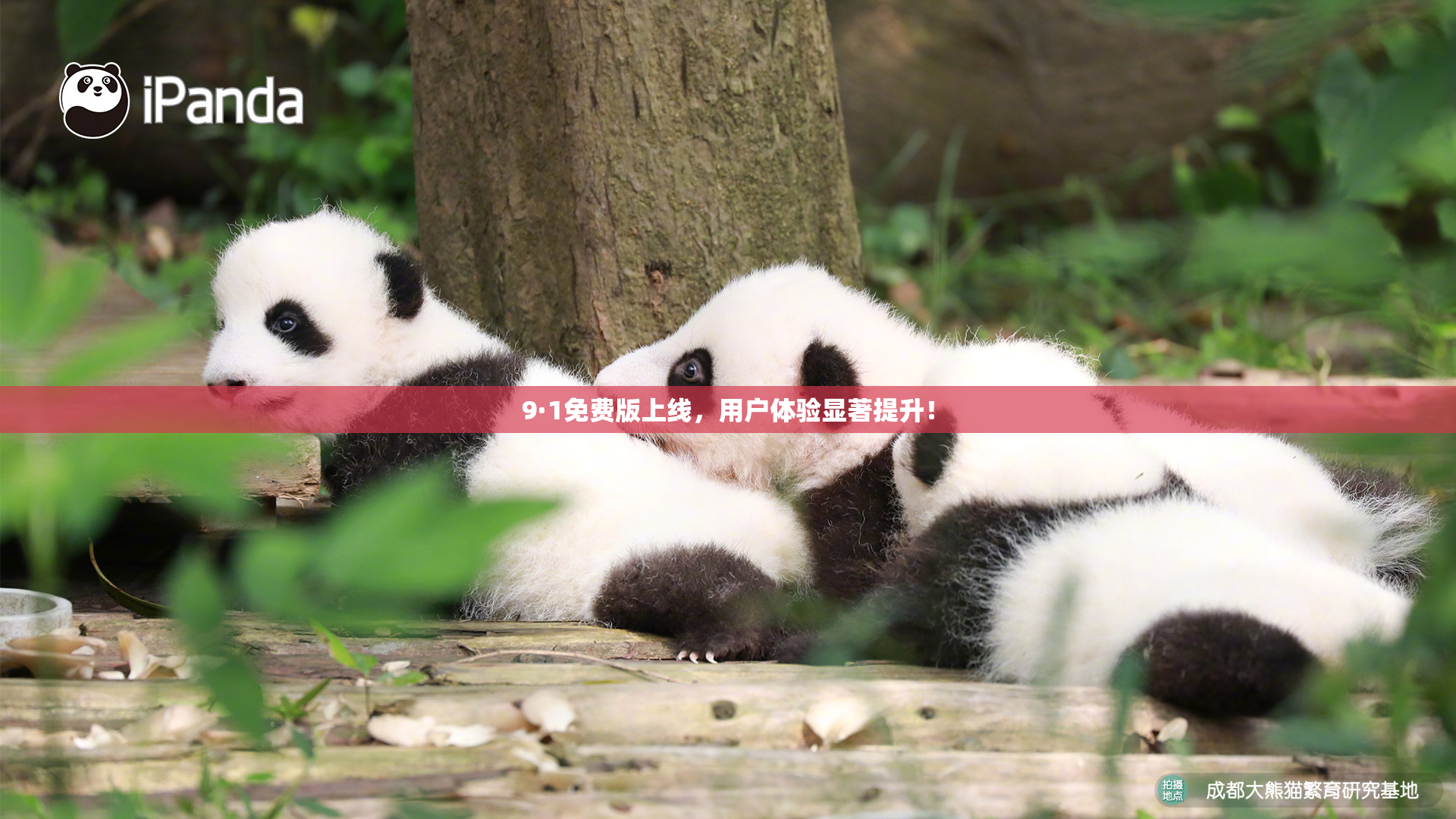 9·1免费版上线，用户体验显著提升！