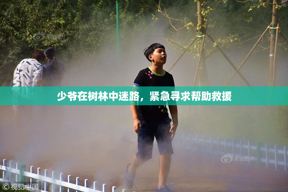 少爷在树林中迷路，紧急寻求帮助救援