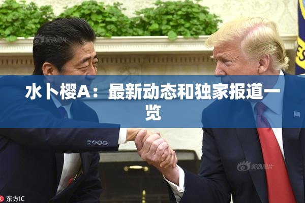水卜樱A：最新动态和独家报道一览