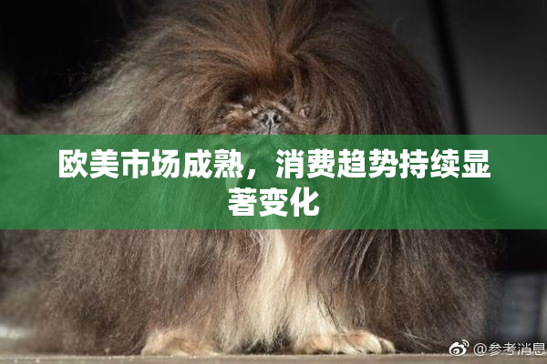 欧美市场成熟，消费趋势持续显著变化