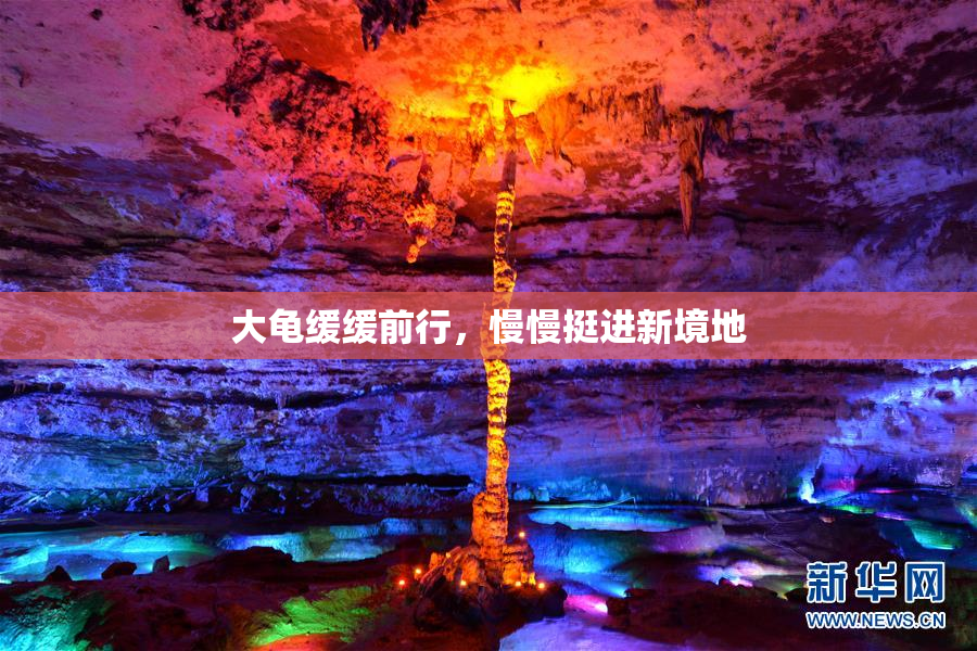 大龟缓缓前行，慢慢挺进新境地