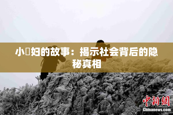 小婬妇的故事：揭示社会背后的隐秘真相