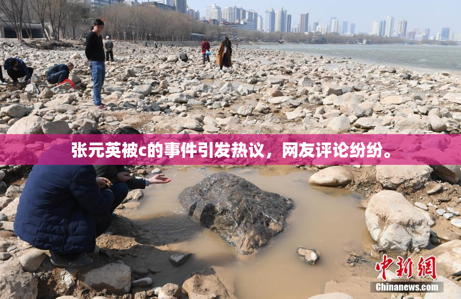 张元英被c的事件引发热议，网友评论纷纷。