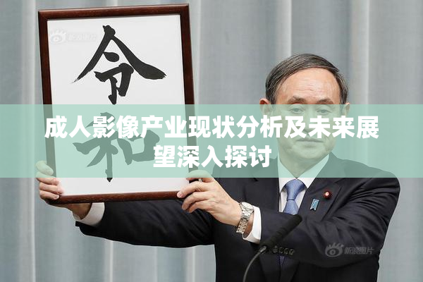 成人影像产业现状分析及未来展望深入探讨