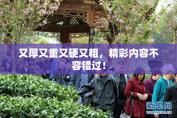 又厚又重又硬又粗，精彩内容不容错过！