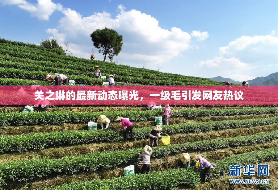 关之琳的最新动态曝光，一级毛引发网友热议