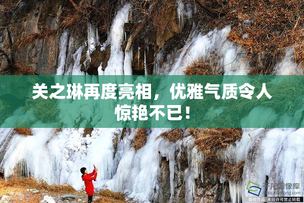 关之琳再度亮相，优雅气质令人惊艳不已！