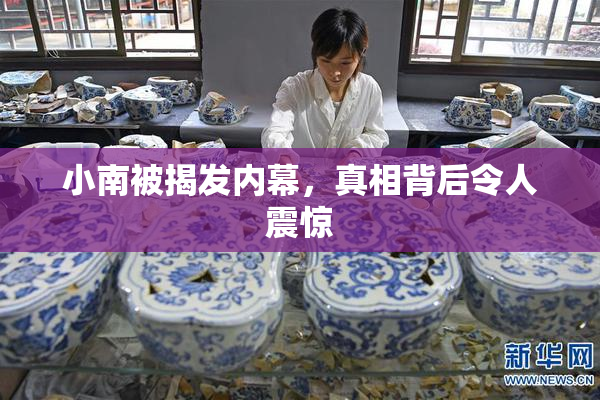 小南被揭发内幕，真相背后令人震惊