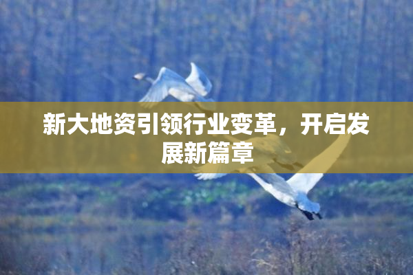 新大地资引领行业变革，开启发展新篇章