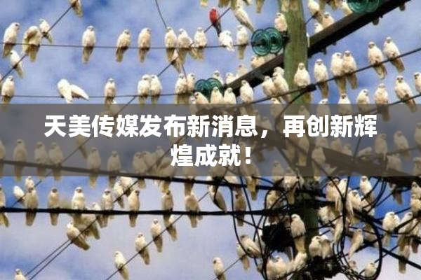 天美传媒发布新消息，再创新辉煌成就！