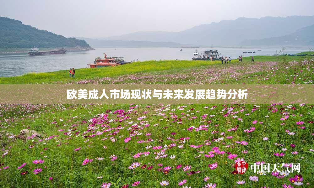 欧美成人市场现状与未来发展趋势分析