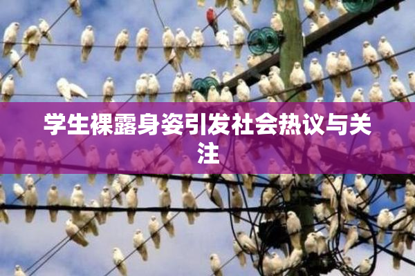 学生裸露身姿引发社会热议与关注