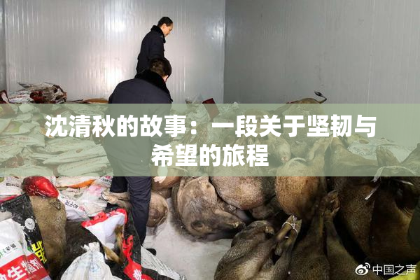 沈清秋的故事：一段关于坚韧与希望的旅程