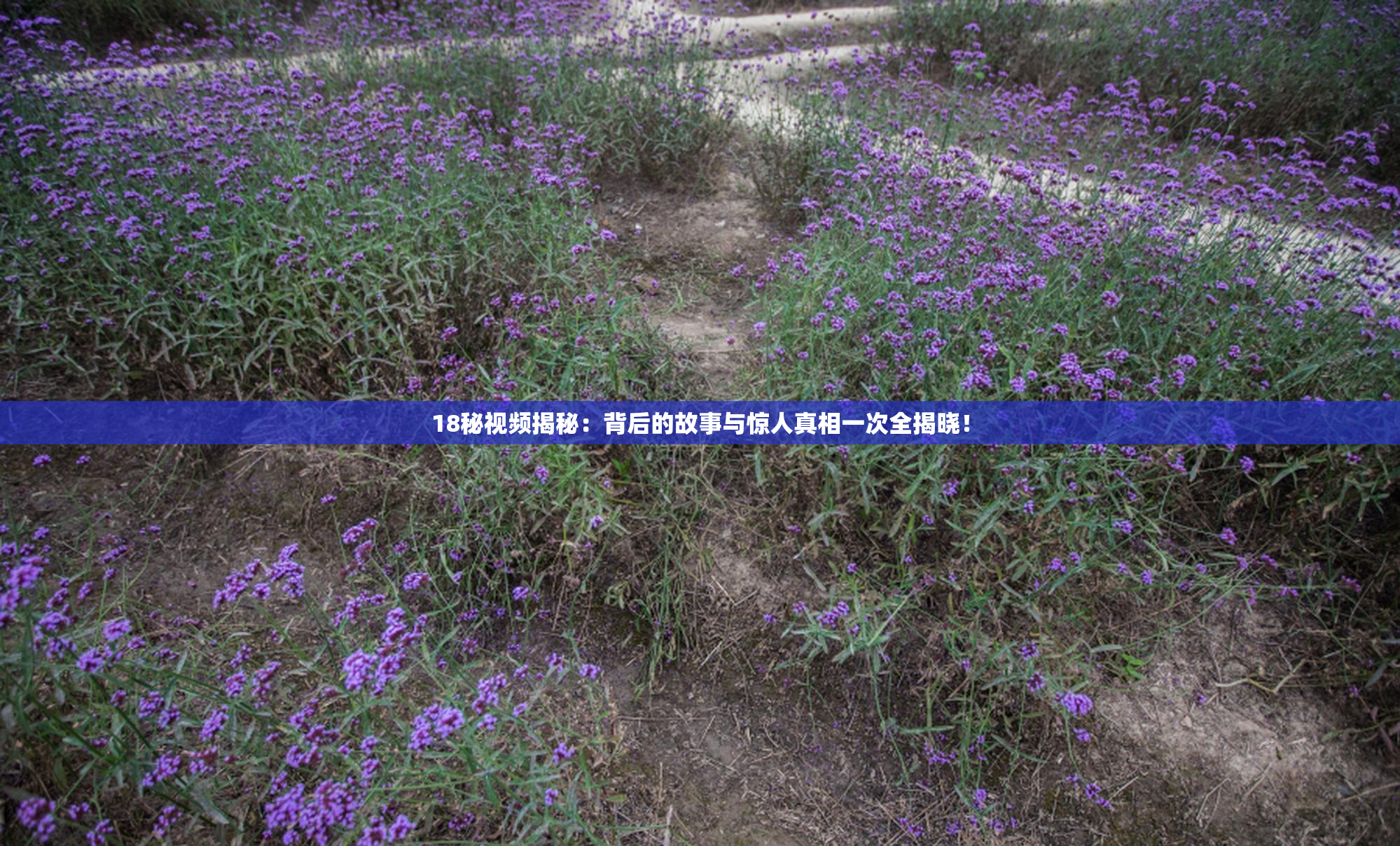 18秘视频揭秘：背后的故事与惊人真相一次全揭晓！