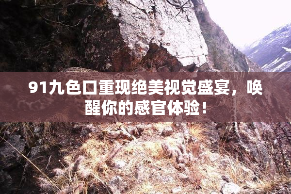 91九色口重现绝美视觉盛宴，唤醒你的感官体验！