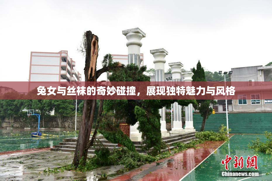 兔女与丝袜的奇妙碰撞，展现独特魅力与风格