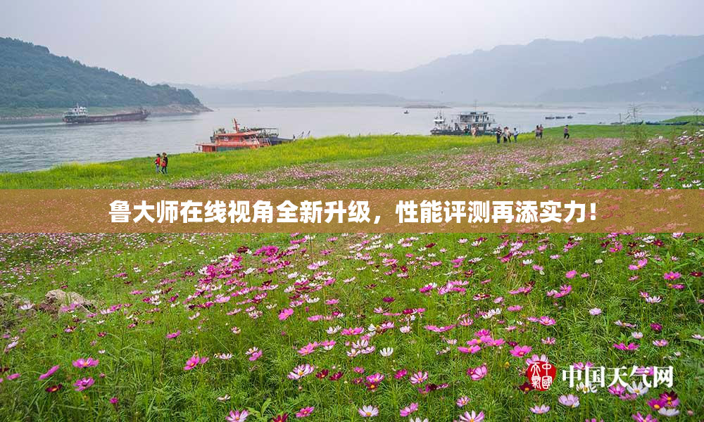 鲁大师在线视角全新升级，性能评测再添实力！
