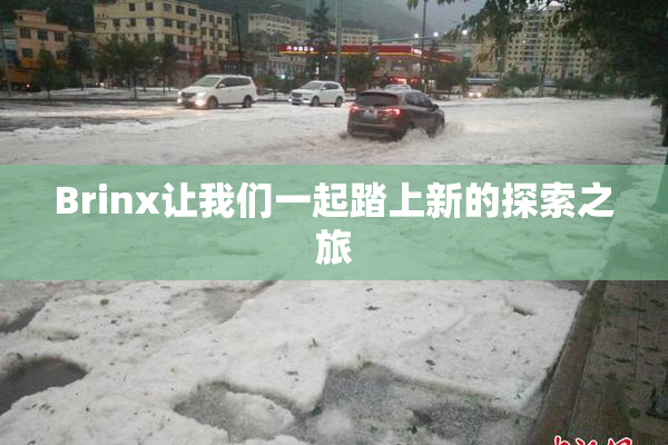 Brinx让我们一起踏上新的探索之旅