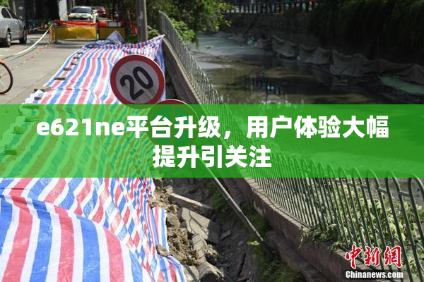 e621ne平台升级，用户体验大幅提升引关注