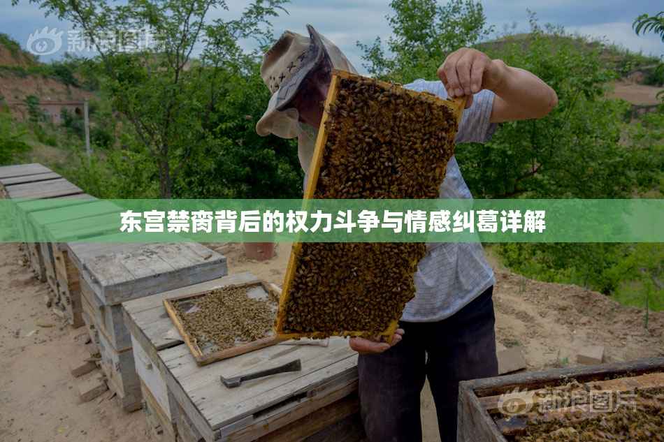 东宫禁脔背后的权力斗争与情感纠葛详解