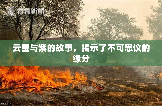云宝与紫的故事，揭示了不可思议的缘分