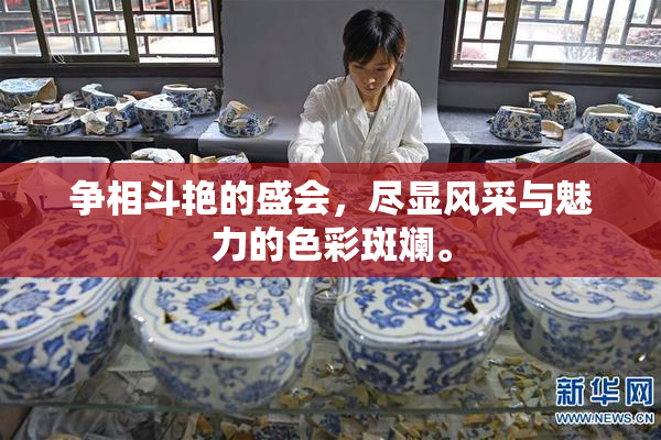 争相斗艳的盛会，尽显风采与魅力的色彩斑斓。