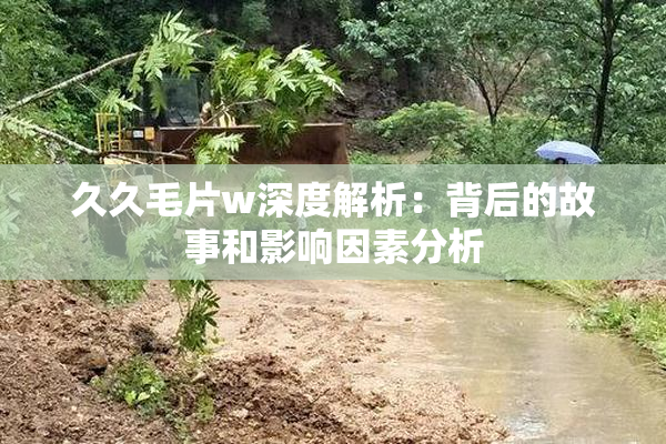 久久毛片w深度解析：背后的故事和影响因素分析