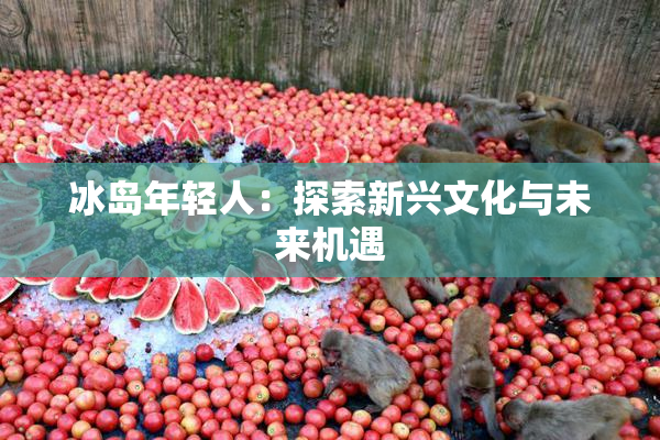 冰岛年轻人：探索新兴文化与未来机遇