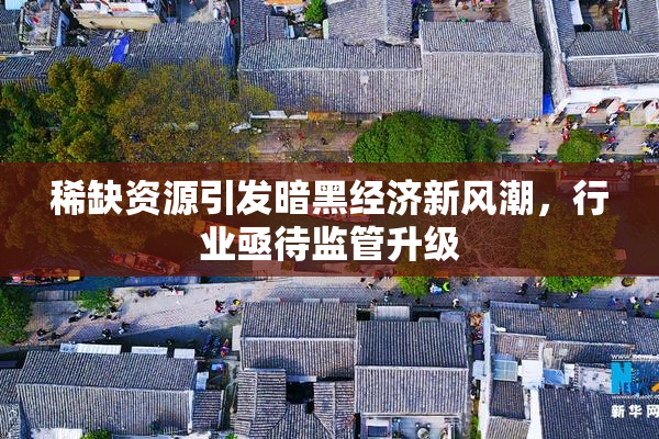 稀缺资源引发暗黑经济新风潮，行业亟待监管升级