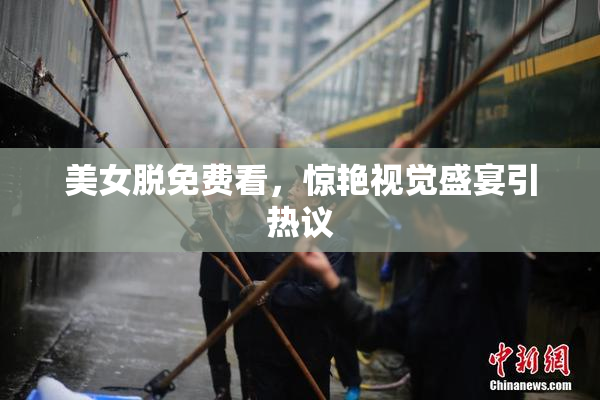 美女脱免费看，惊艳视觉盛宴引热议