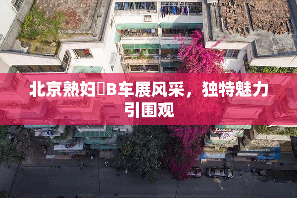 北京熟妇槡B车展风采，独特魅力引围观