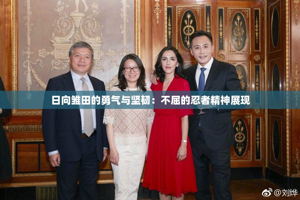 日向雏田的勇气与坚韧：不屈的忍者精神展现