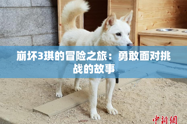 崩坏3琪的冒险之旅：勇敢面对挑战的故事