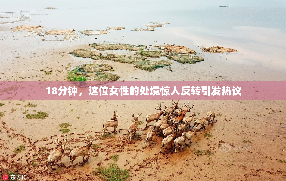 18分钟，这位女性的处境惊人反转引发热议