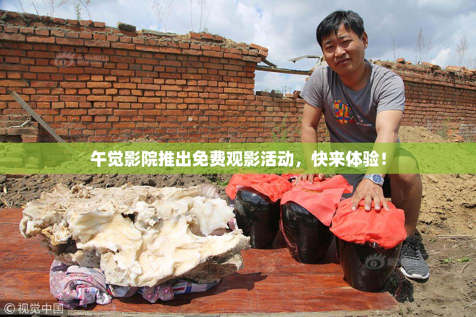 午觉影院推出免费观影活动，快来体验！