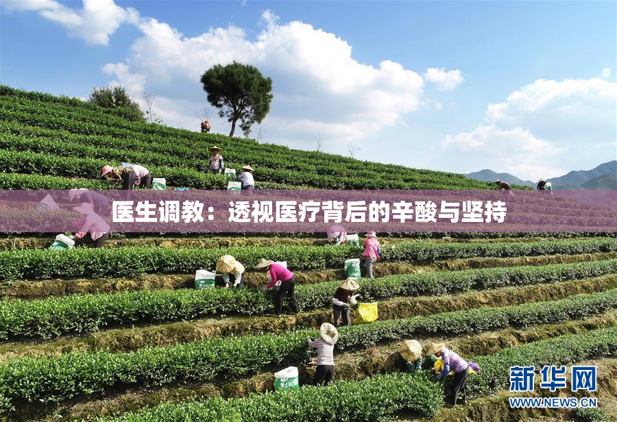 医生调教：透视医疗背后的辛酸与坚持