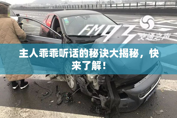 主人乖乖听话的秘诀大揭秘，快来了解！