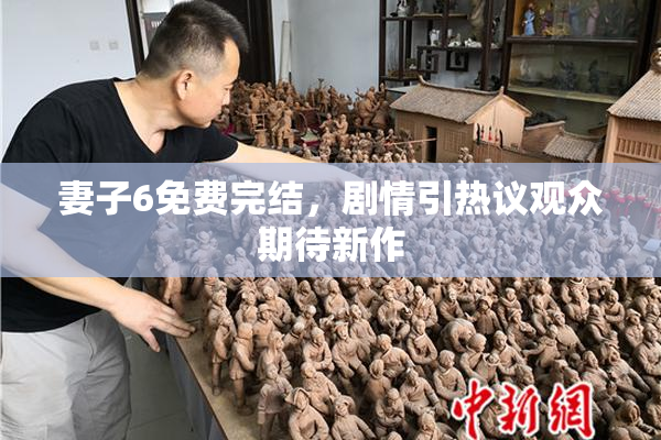 妻子6免费完结，剧情引热议观众期待新作