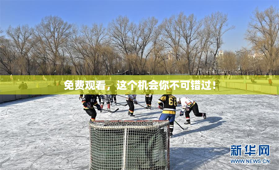 免费观看，这个机会你不可错过！