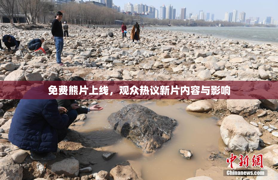 免费熊片上线，观众热议新片内容与影响