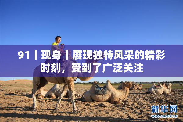 91丨现身丨展现独特风采的精彩时刻，受到了广泛关注