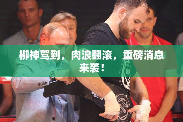 柳神驾到，肉浪翻滚，重磅消息来袭！