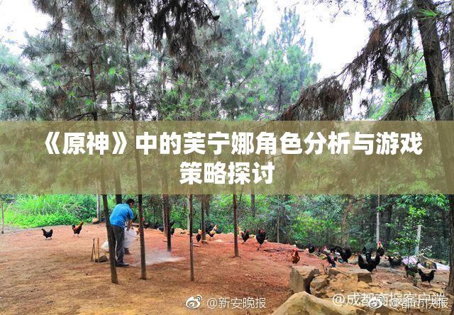 《原神》中的芙宁娜角色分析与游戏策略探讨
