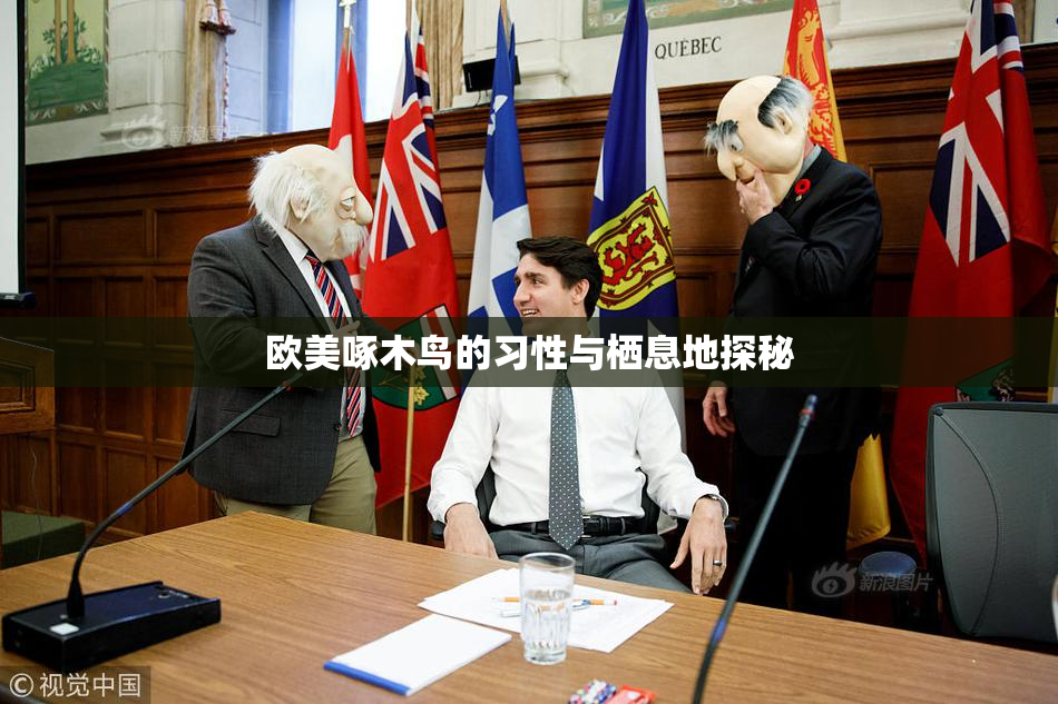 欧美啄木鸟的习性与栖息地探秘