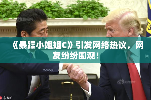 《暴躁小姐姐C》引发网络热议，网友纷纷围观！