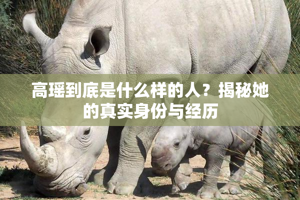 高瑶到底是什么样的人？揭秘她的真实身份与经历