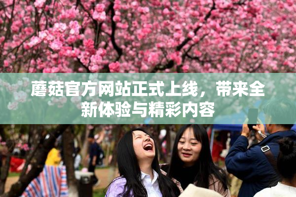 蘑菇官方网站正式上线，带来全新体验与精彩内容