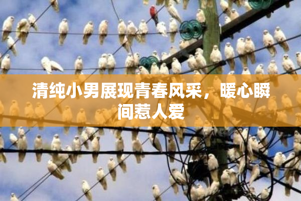 清纯小男展现青春风采，暖心瞬间惹人爱