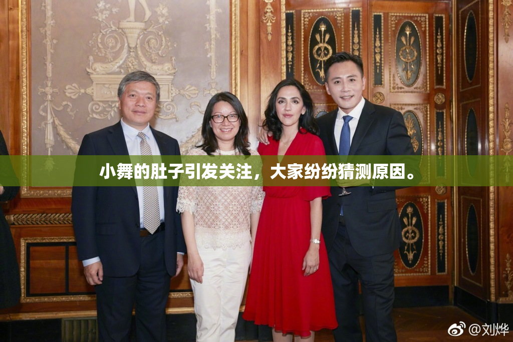 小舞的肚子引发关注，大家纷纷猜测原因。
